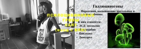 spice Алексин