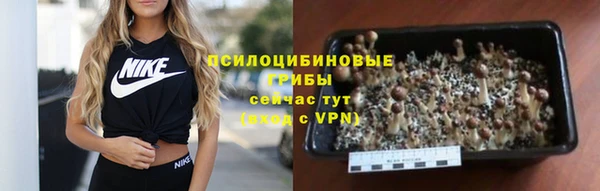 метадон Алзамай