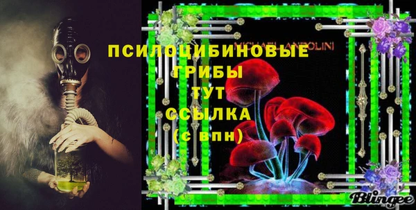 spice Алексин