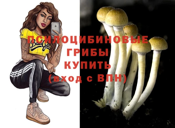 метадон Алзамай