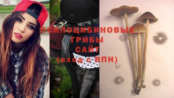 метадон Алзамай